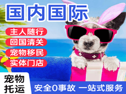德宏航空空运国际宠物托运 【国